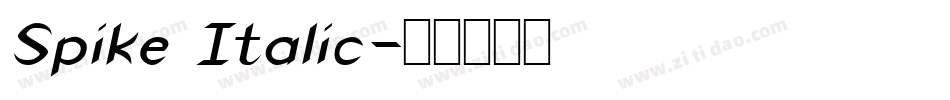 Spike Italic字体转换